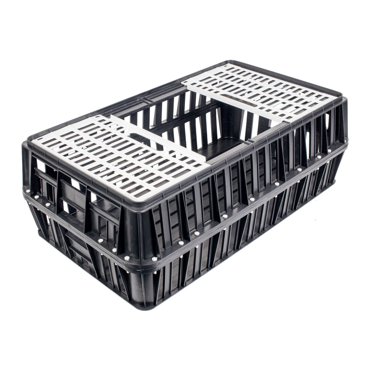 Chicktec Plastic Solid Base Poultry Crate, Black and White